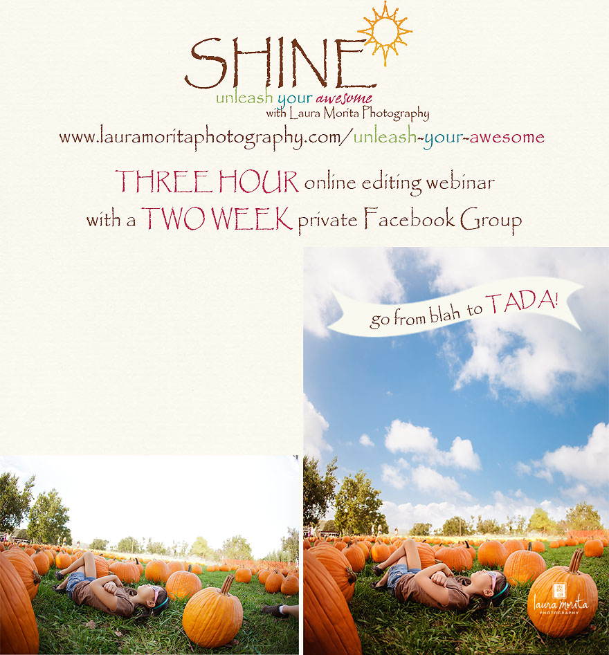 SHINE ~ Unleash Your Awesome ~ Laura Morita Photography | Online editing workshop