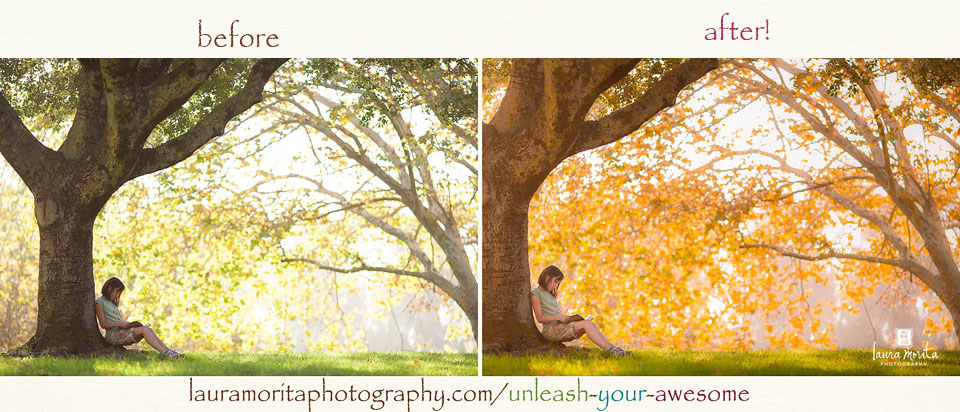 SHINE ~ Unleash Your Awesome ~ Laura Morita Photography | Online Lightroom and Photoshop editing workshop | October 27, 2013.