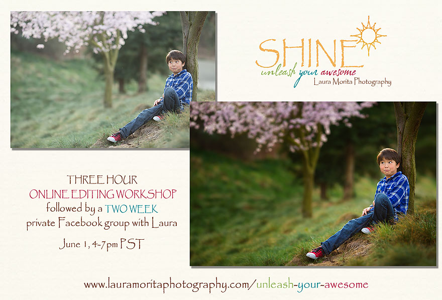 SHINE ~ Unleash Your Awesome ~ Laura Morita Photography | Online editing workshop