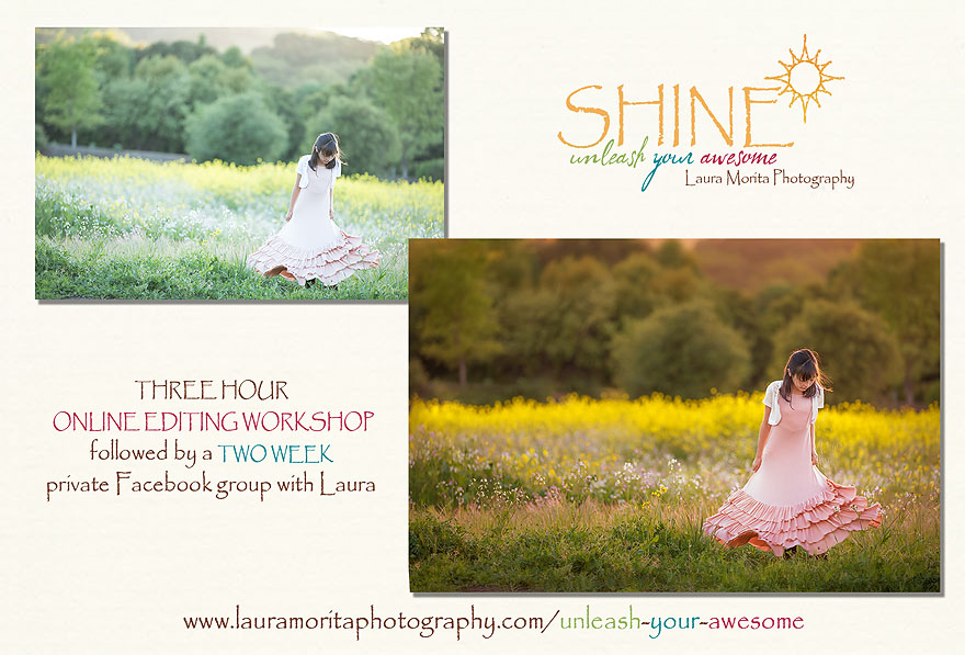 SHINE ~ Unleash Your Awesome ~ Laura Morita Photography | Online editing workshop